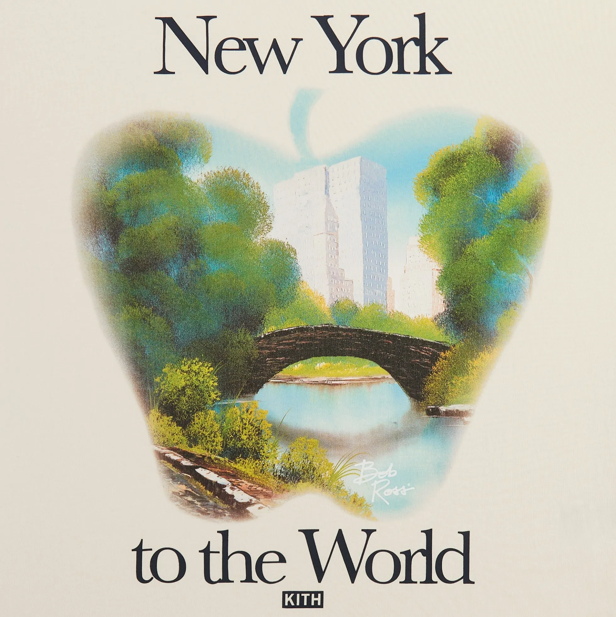 Kith for Bob Ross New York to the World Vintage Tee