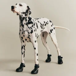 Kith for wagwear WagWellies Mojave