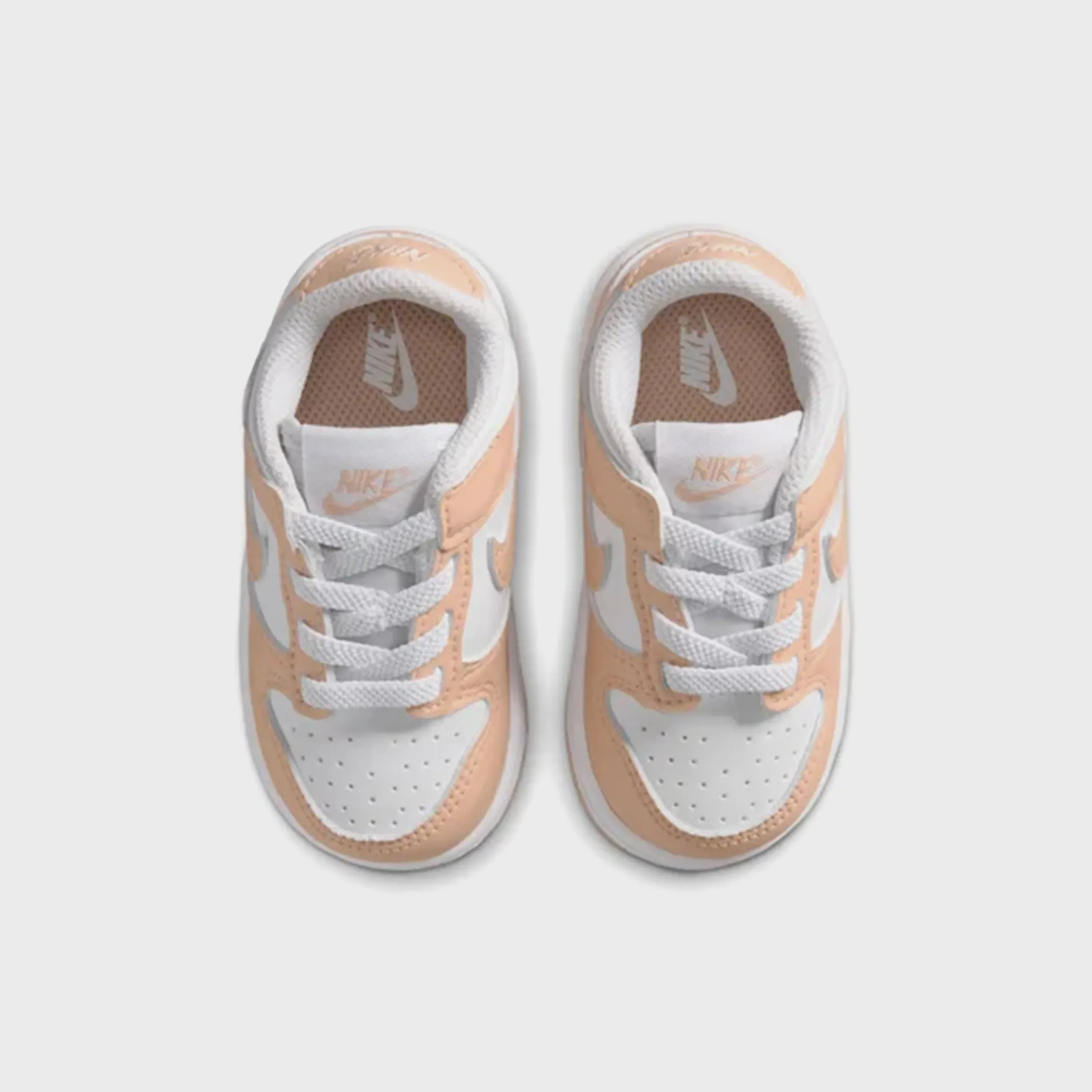 TD Dunk Low